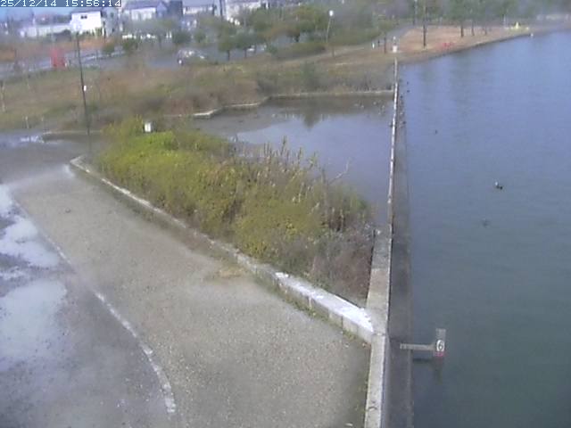 取得できませんでした