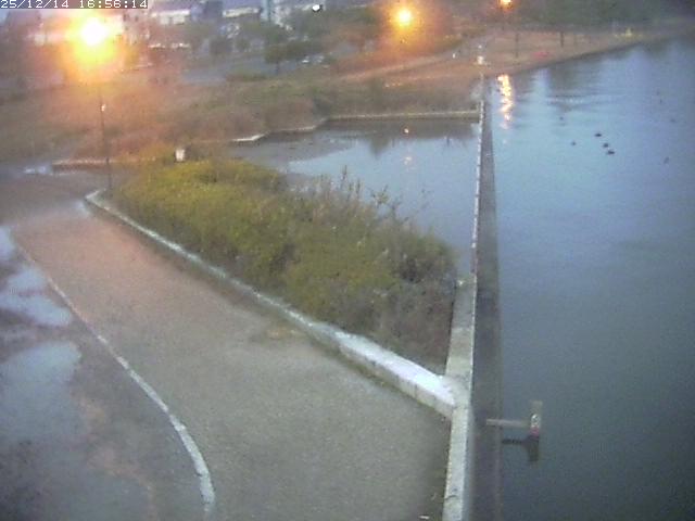 取得できませんでした