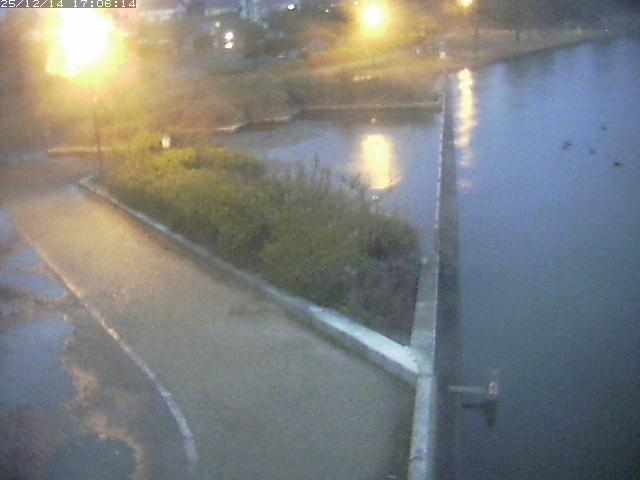 取得できませんでした