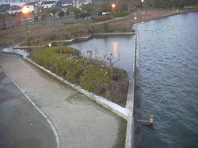 取得できませんでした