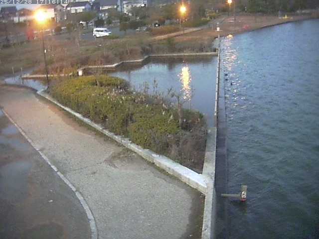 取得できませんでした