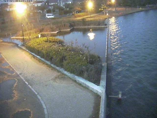 取得できませんでした