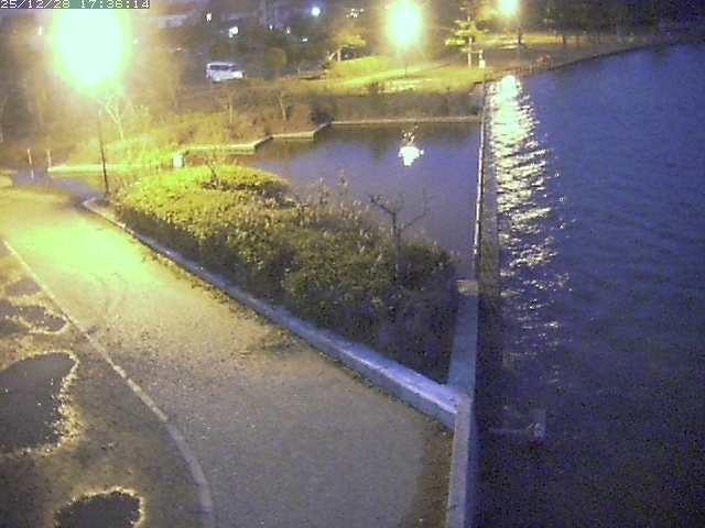 取得できませんでした