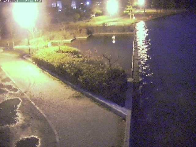 取得できませんでした