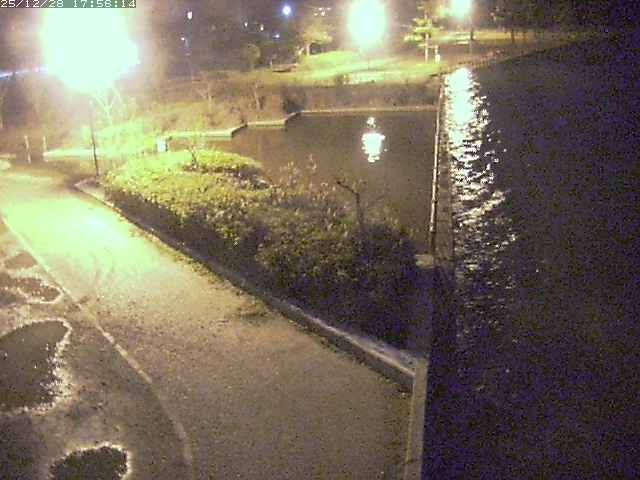 取得できませんでした