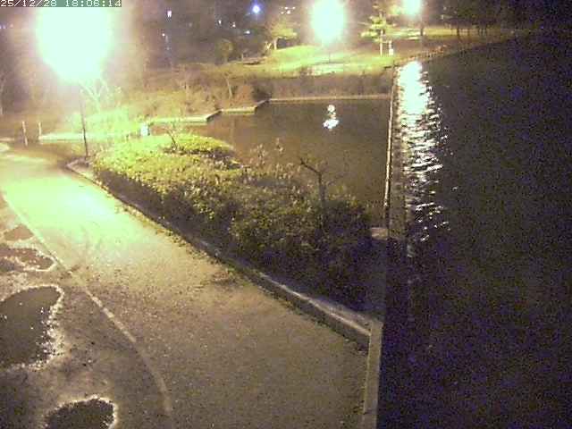 取得できませんでした