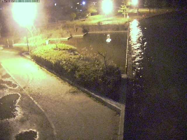 取得できませんでした