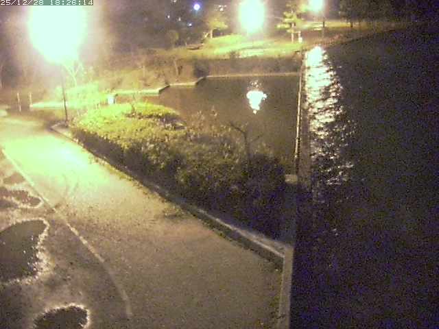 取得できませんでした