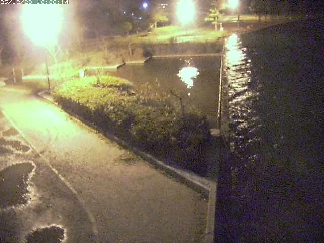 取得できませんでした