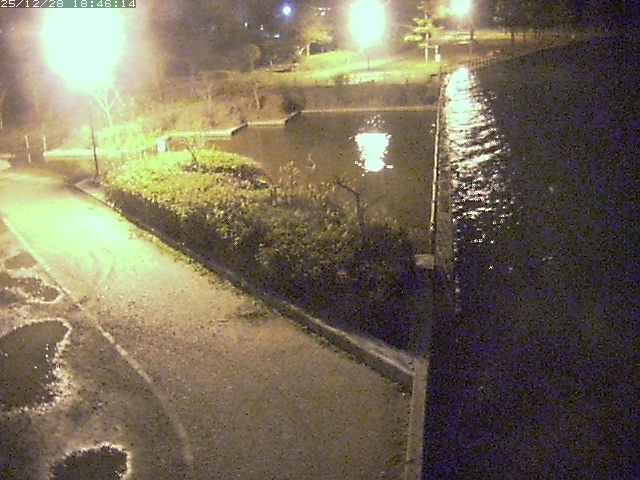 取得できませんでした