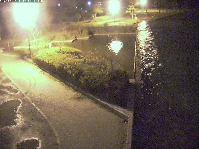 取得できませんでした