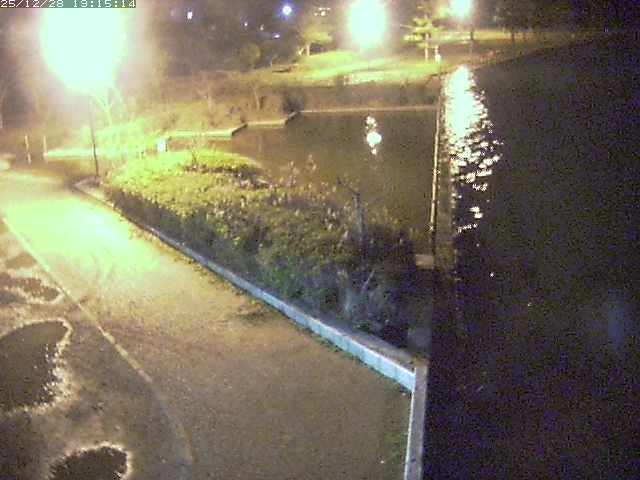 取得できませんでした