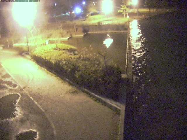 取得できませんでした