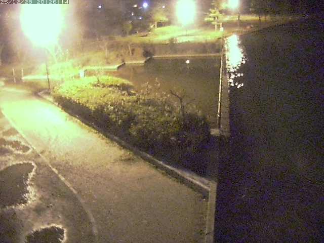 取得できませんでした