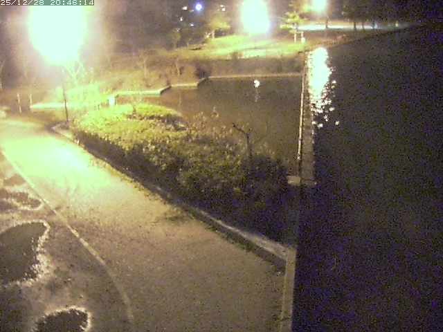 取得できませんでした