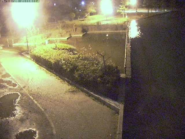 取得できませんでした