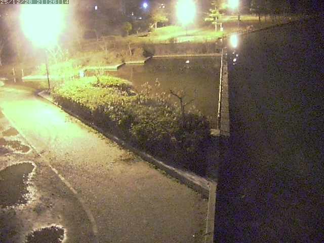 取得できませんでした