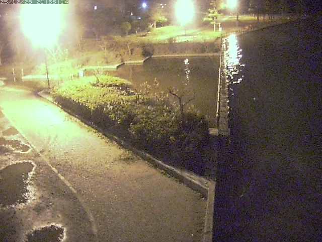 取得できませんでした