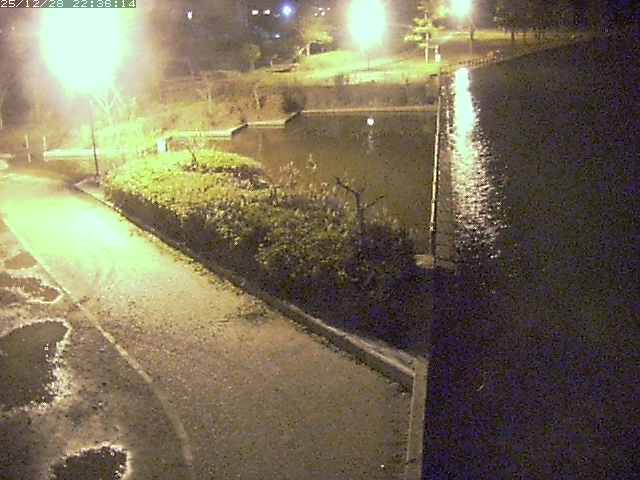 取得できませんでした