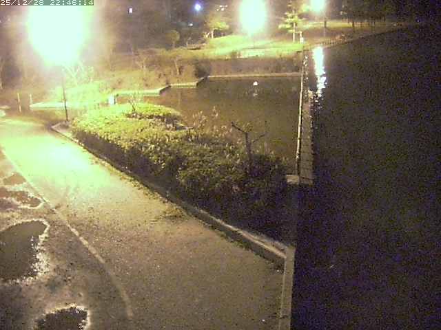 取得できませんでした