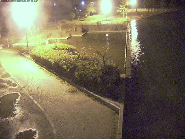 取得できませんでした