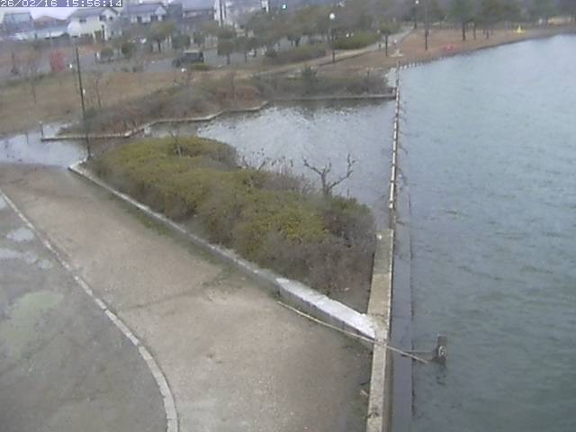 取得できませんでした