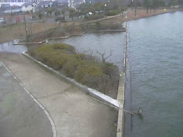 取得できませんでした