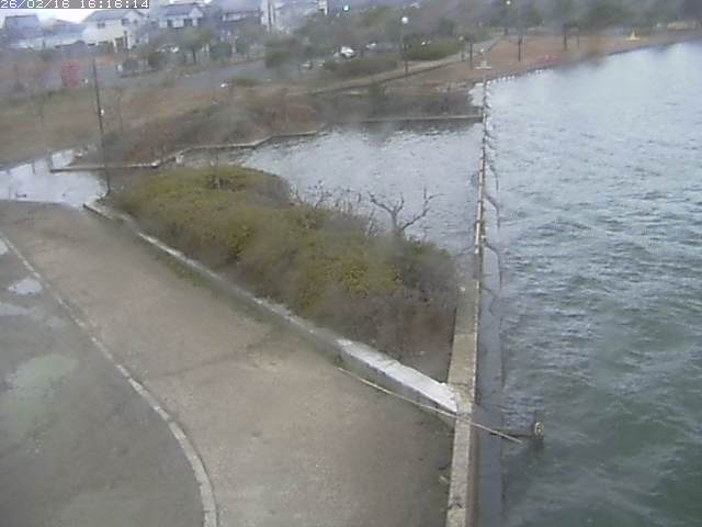 取得できませんでした