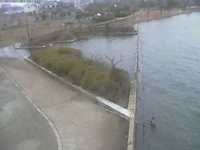 取得できませんでした