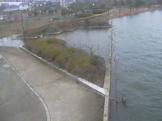 取得できませんでした