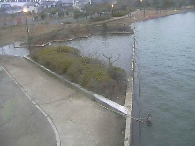 取得できませんでした