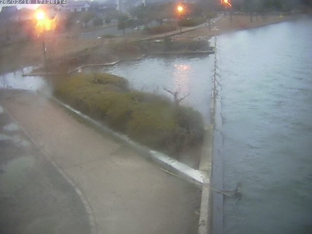 取得できませんでした