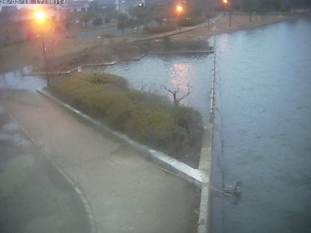 取得できませんでした