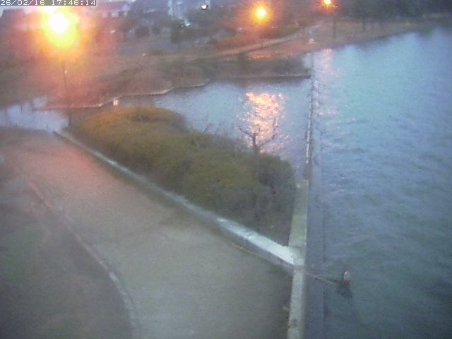 取得できませんでした