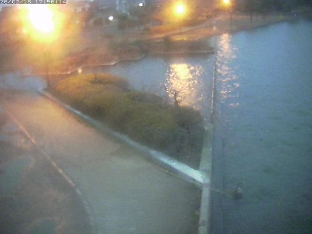 取得できませんでした