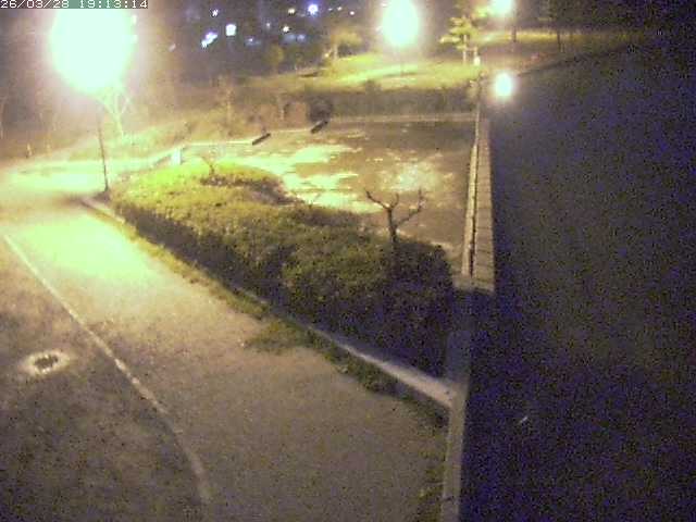 取得できませんでした