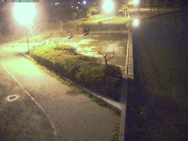 取得できませんでした