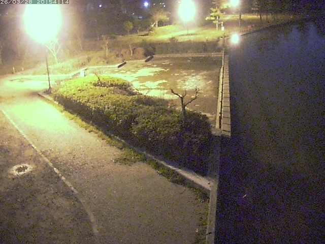 取得できませんでした