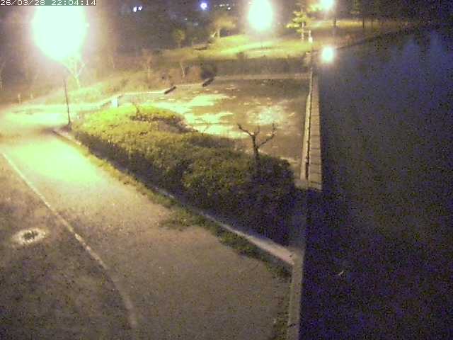 取得できませんでした