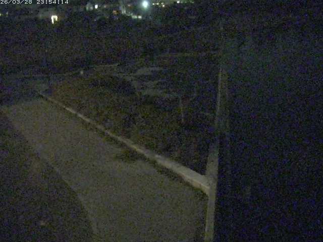 取得できませんでした