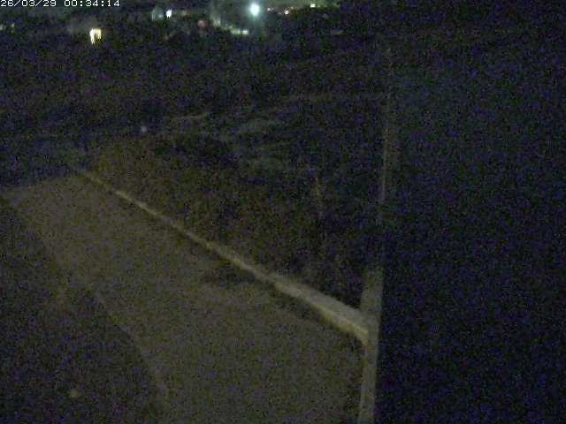 取得できませんでした