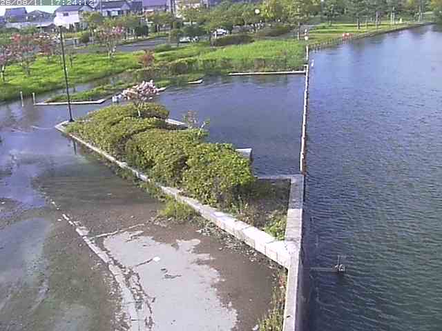 取得できませんでした