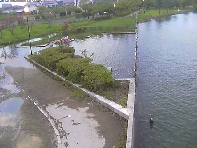 取得できませんでした
