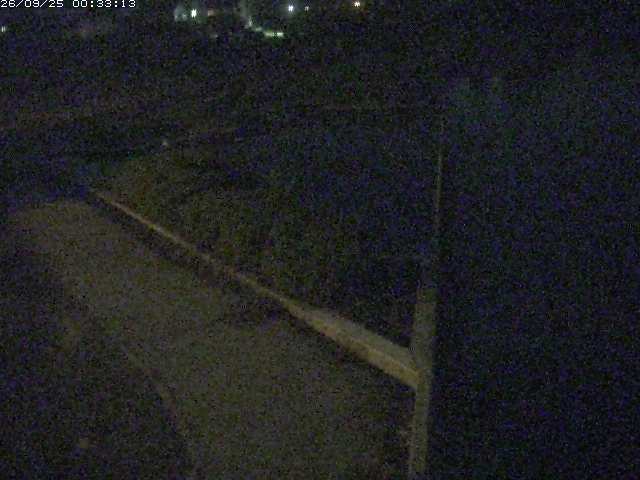 取得できませんでした