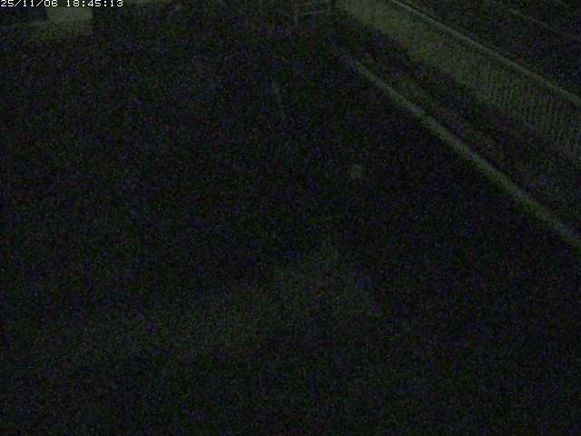 取得できませんでした