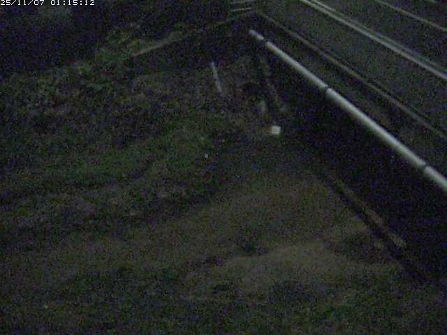 取得できませんでした