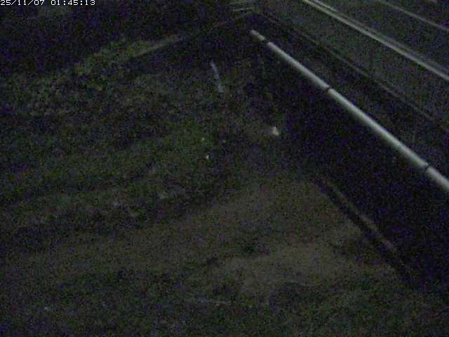 取得できませんでした