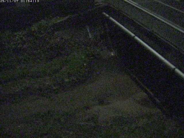 取得できませんでした