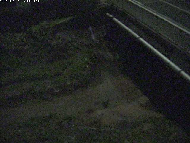 取得できませんでした