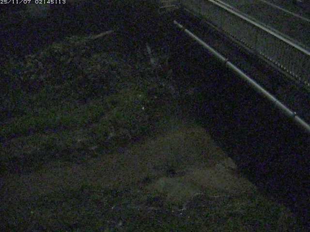 取得できませんでした